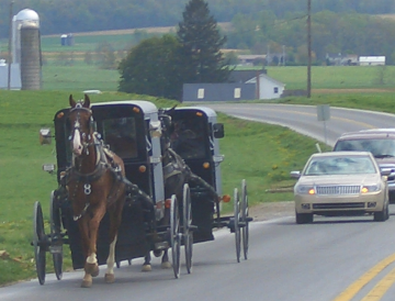 beachy-amish-cars.png